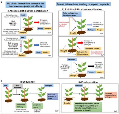 Impact of Combined Abiotic and Biotic Stresses on Plant Growth and Avenues for Crop Improvement by Exploiting Physio-morphological Traits